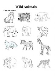 English Worksheet: Animal worksheet