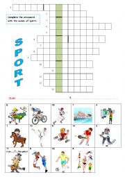 English Worksheet: SPORTS CROSSWORD