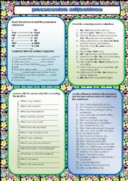 English Worksheet: possessive adjectives