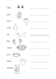 English Worksheet: Body parts