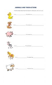 English Worksheet: animals and their actions