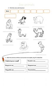 English Worksheet: zoo animals