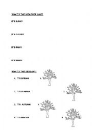 English Worksheet: Seasons & weather