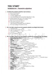 English Worksheet: Possessive Adjectives worksheet