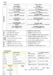 English Worksheet: Reported speech