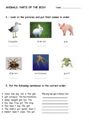 Animals worksheet