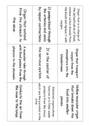 English Worksheet: Body internal parts 