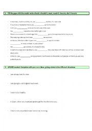 English Worksheet: Advice and second conditional exam