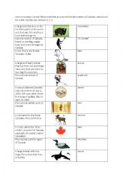 English Worksheet: Matching exercise Canadian national symbols