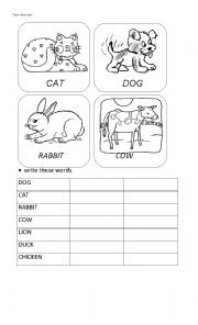 English Worksheet: Farm animals