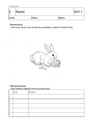 Rabbit coloring and sentence making