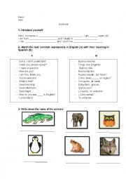 animals and common expressions