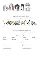 English Worksheet: Time, numbers, hair, animals, have got, days of the week