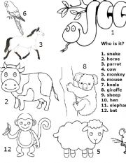 English Worksheet: Animals