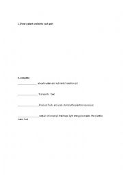 English Worksheet: Parts of the plants