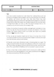 English Worksheet: mock exam