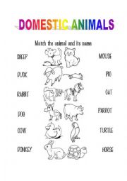 ANIMALS