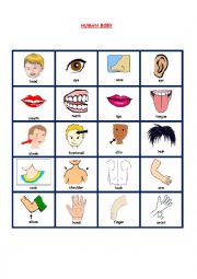 English Worksheet: HUMAN BODY