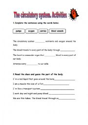 English Worksheet: The circulatory system