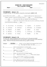 English Worksheet: grammar and vocabulary