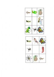English Worksheet: Insects bingo
