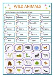 English Worksheet: WILD ANIMALS