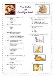 English Worksheet: What kind of pet should you have?