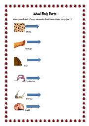 English Worksheet: Animal Body parts