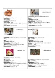 English Worksheet: ** Lost Pet Cards ** pair work