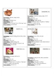 ** Lost Pet Cards ** pair work