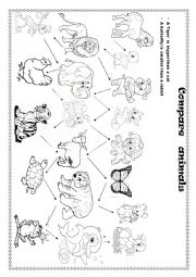 English Worksheet: Compare the animals