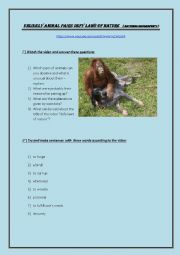 English Worksheet: Video: Unlikely friends - NATIONAL GEOGRAPHICS 