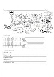 BUGS WORKSHEET FOR KIDS