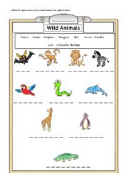 English Worksheet: Jungle Animals