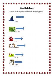 English Worksheet: Animal Body parts