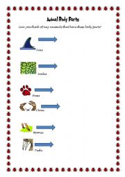 Animal Body parts