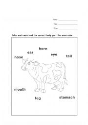 Cow Body Parts Coloring Sheet - ESL worksheet by MrRyanWalters