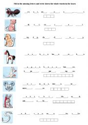 English Worksheet: Alphabet words