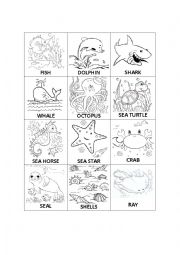 English Worksheet: animals under the sea