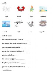 English Worksheet: Nature 