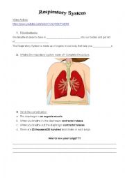 English Worksheet: The Respiratory System Video Activity