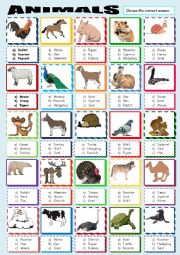 ANIMALS MULTIPLE CHOICE