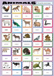 English Worksheet: ANIMALS PICTIONARY