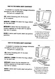 English Worksheet: What do you know about computers