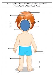 English Worksheet: Body Parts