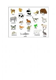 English Worksheet: Animals