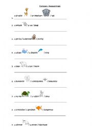 English Worksheet: Compare the animals