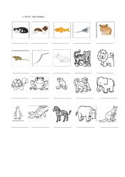 English Worksheet: WRITE THE ANIMALS