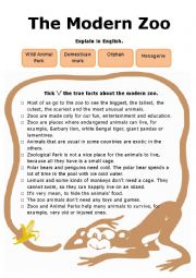 English Worksheet: The Modern Zoo