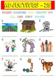 English Worksheet: adjectives - 25